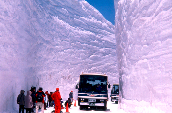 Ir a la noticia Nieve para todos los gustos