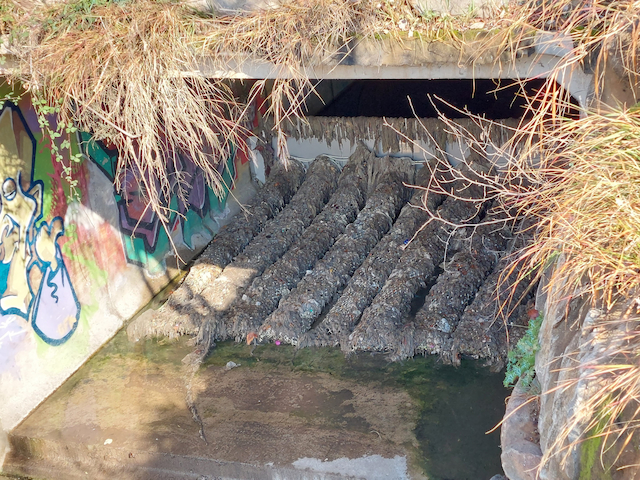 Ir a la noticia Cada gesto suma, cada descarga cuenta