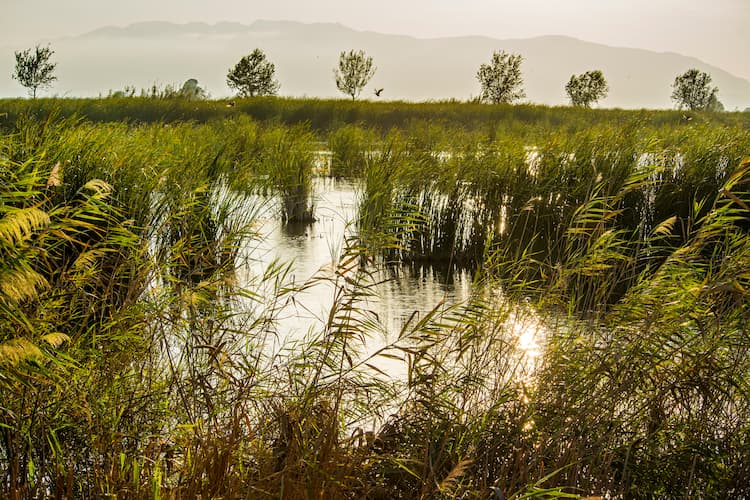 Ir a la noticia La preservación de los ecosistemas, clave en la adaptación al cambio climático