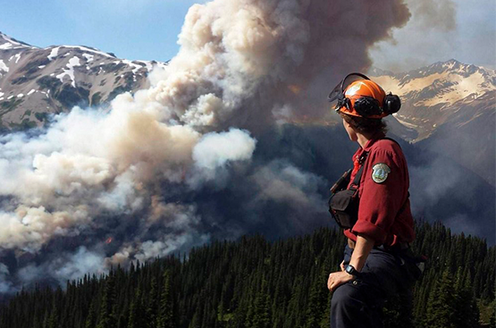Ir a la noticia Las locuras del verano de 2021
